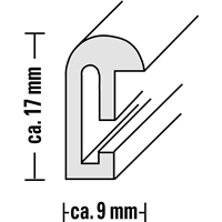 Hama rámček plastový SEVILLA, strieborná matná, 10x15 cm